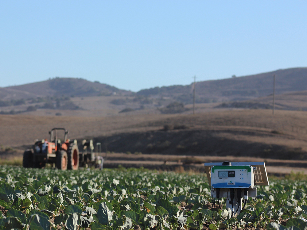 Field with Hortau's machine