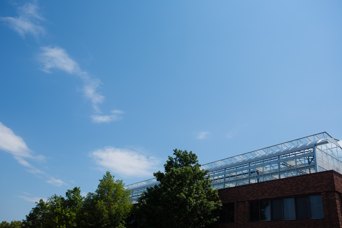 Greenhouse on a roof