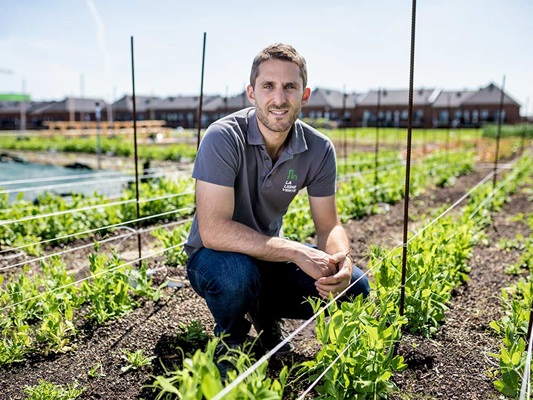 La ligne verte - entrepreneur