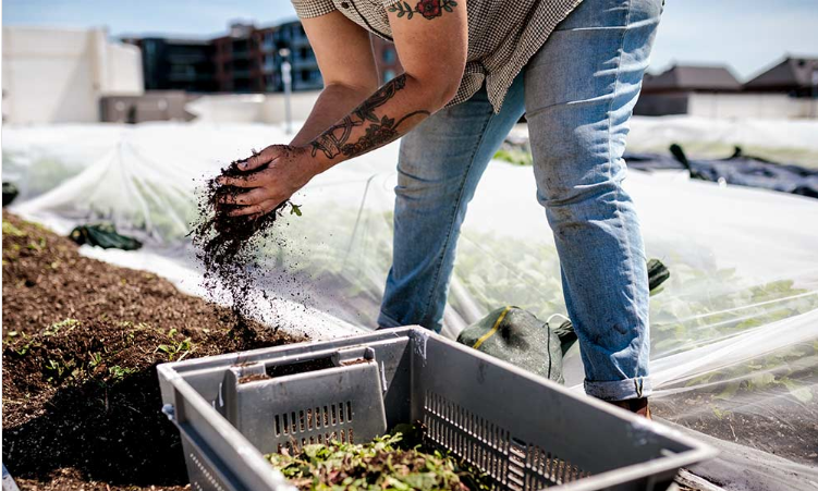 Jardin sur le toit : individu au travail