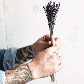 Bouquet de lavande dans les mains