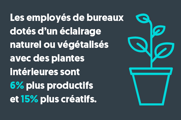 Les employés de bureaux dotés d'un éclairage naturel ou végétalisés avec des plantes intérieures sont 6% plus productifs et 15% plus créatifs